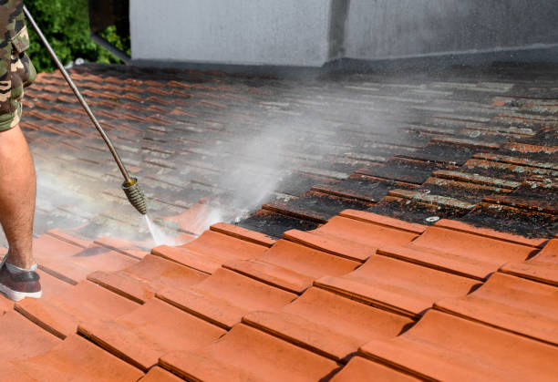 Best Pressure Washing Estimates  in Massapequa Park, NY
